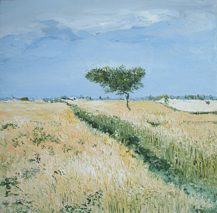 Wheat Fields II 1215
