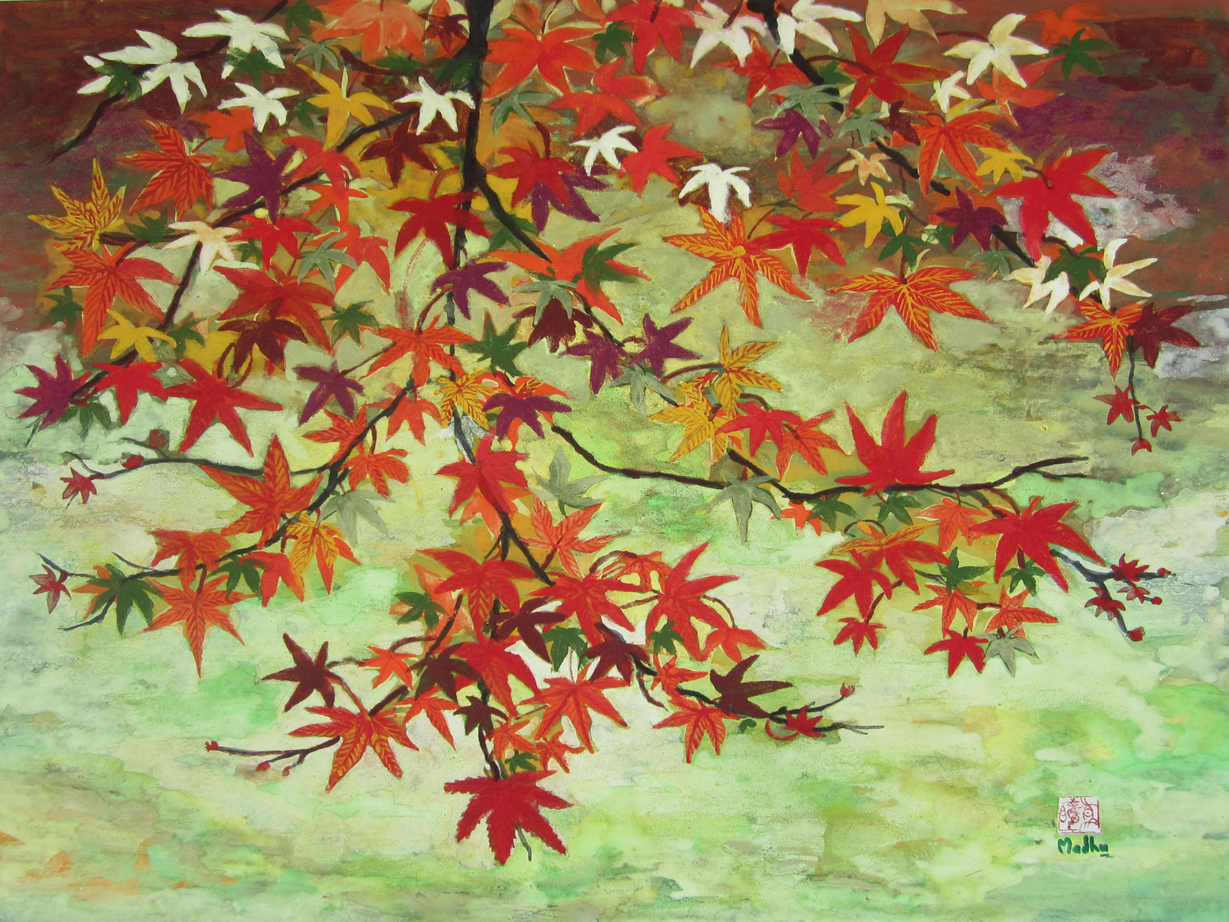 Maples in autumn 5463