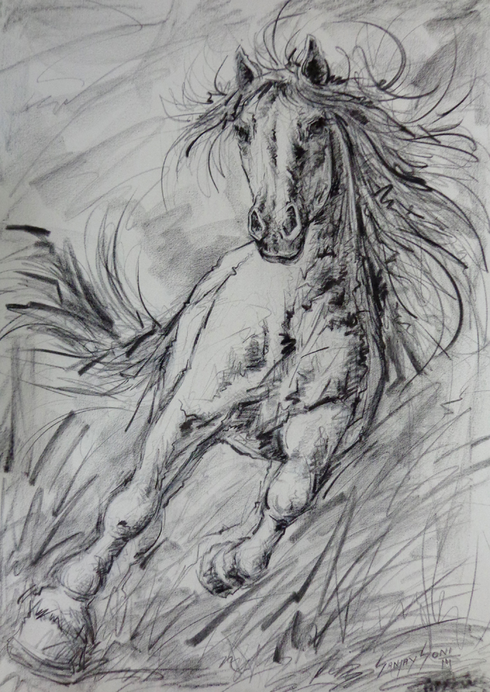 Horse 6126