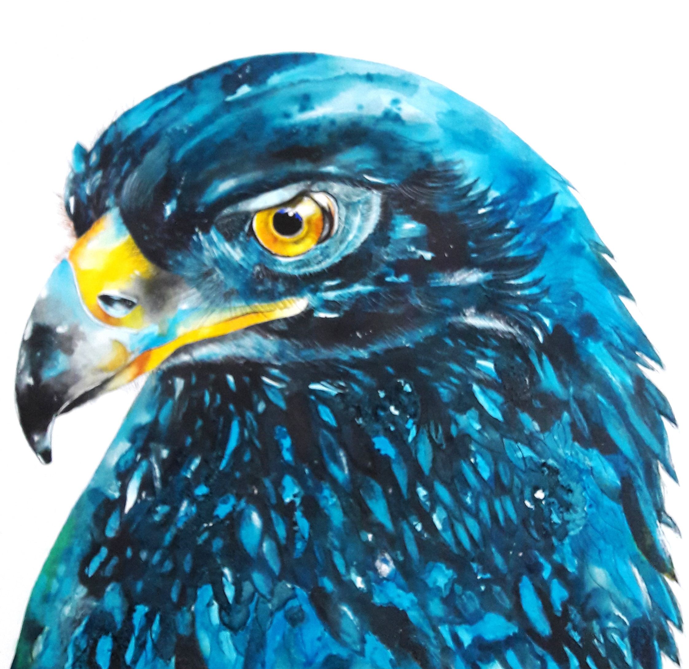 Blue eagle 8414