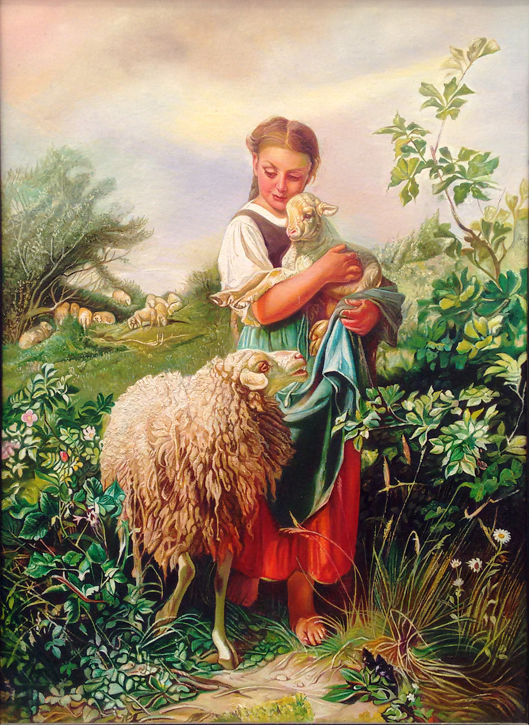 Shepherd 10563