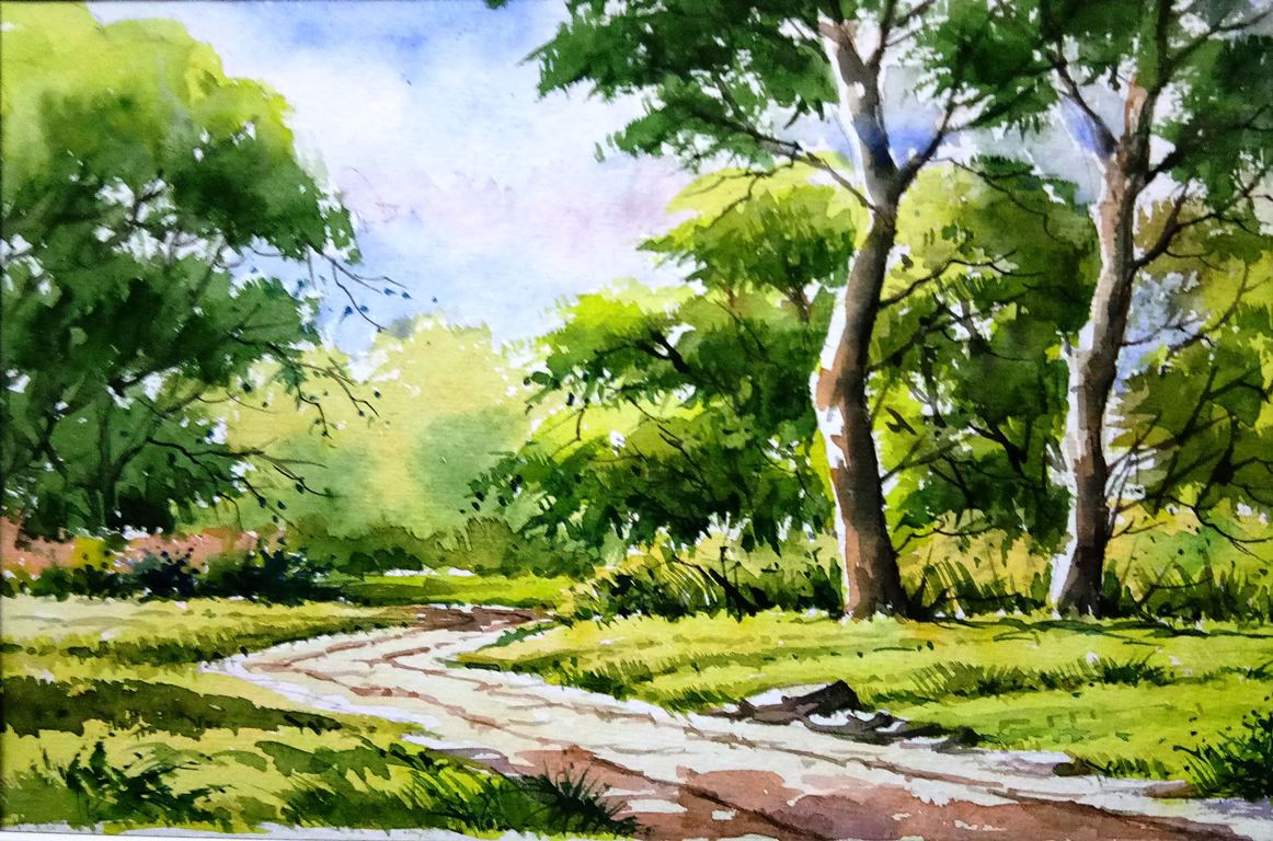 Path In Green 13070