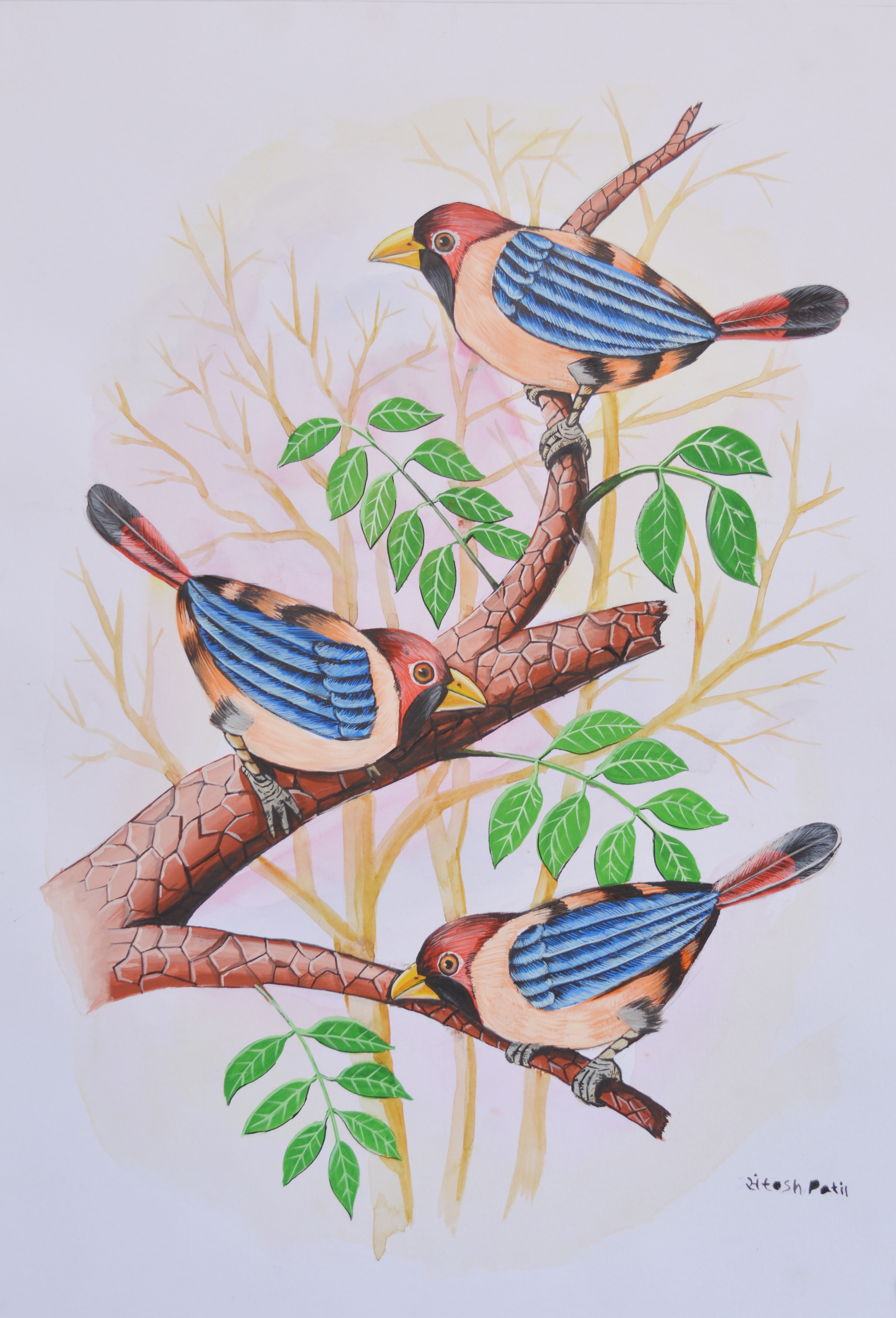 Birds painting 12 13405