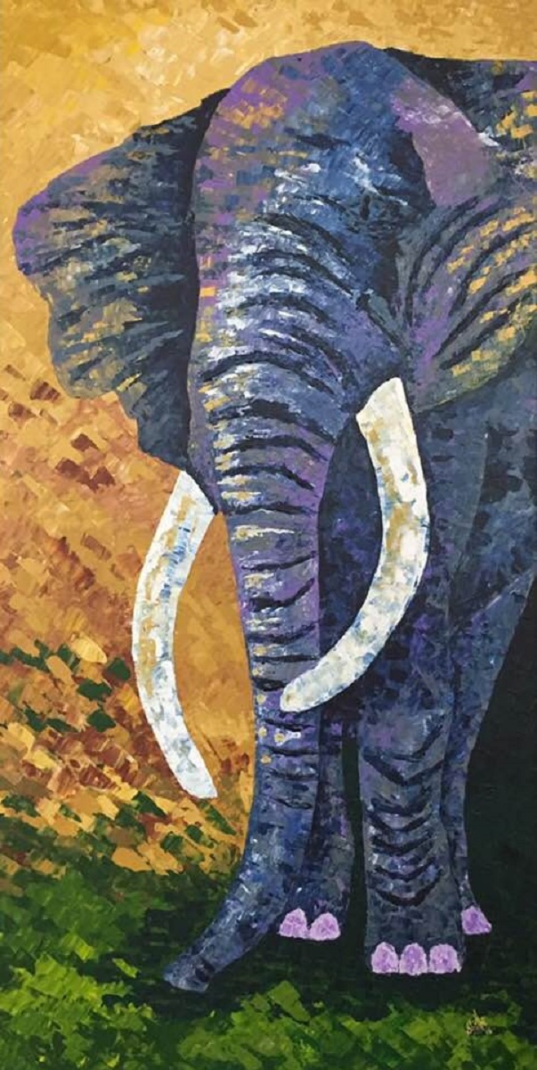 Elephant 13903