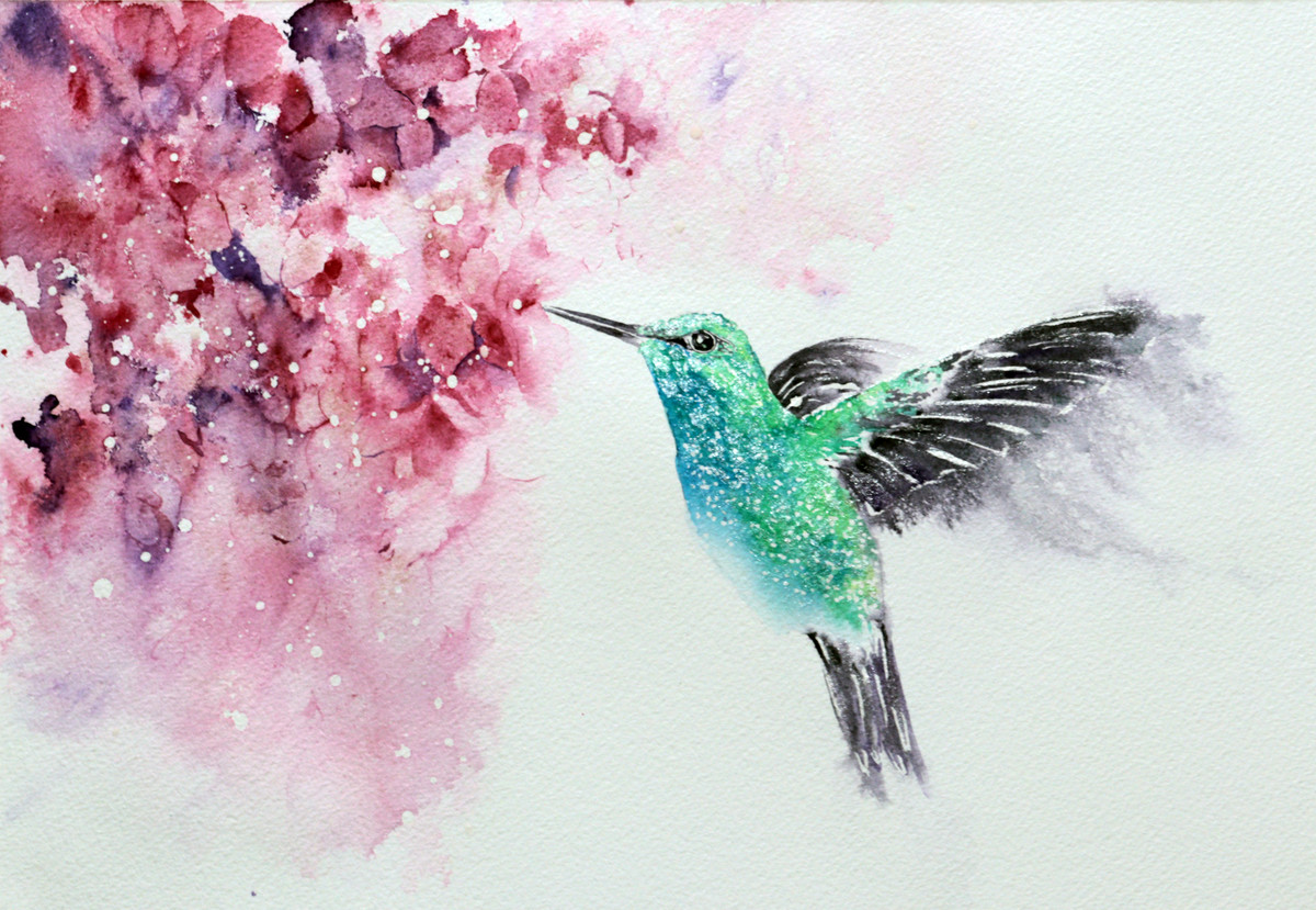 Hummingbird Watercolor Painting 16788
