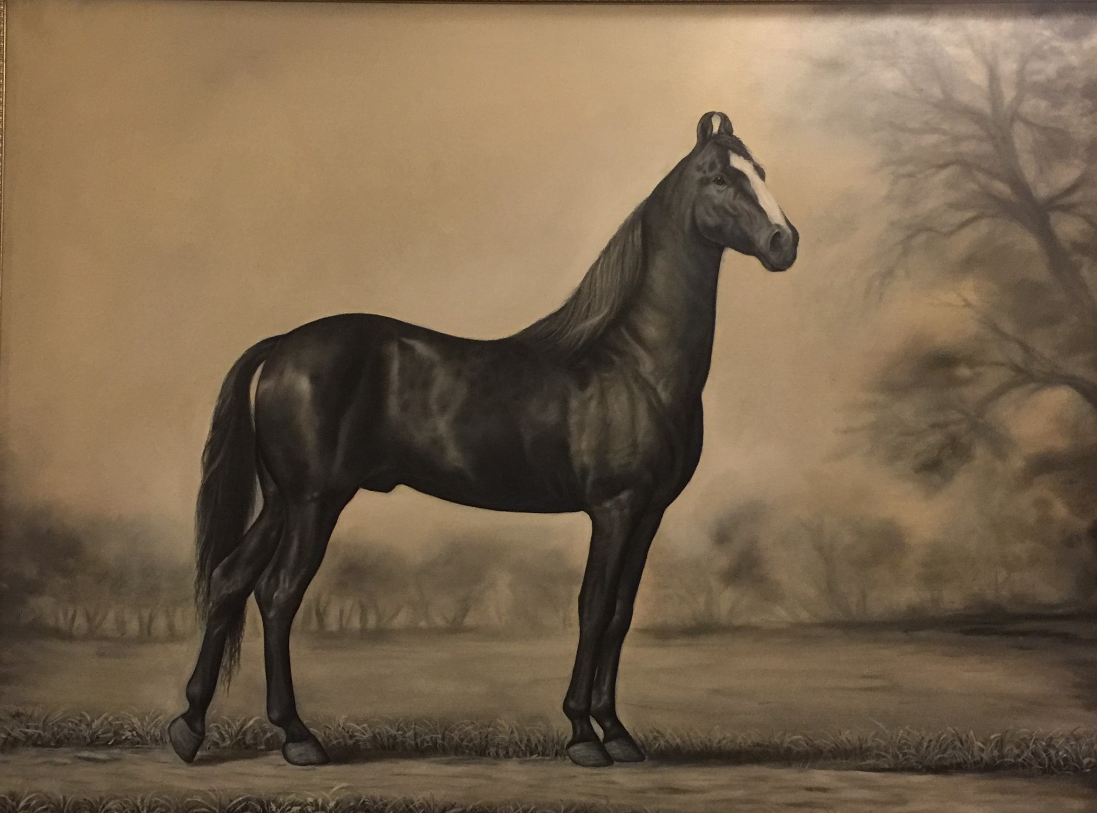 Black Horse 18420